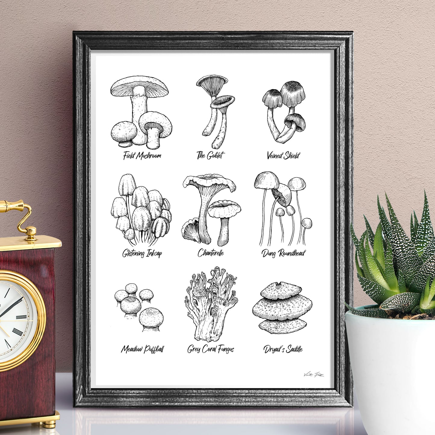 mushroom art, detailed mushroom illustration, mushroom wall art, mushroom specimens