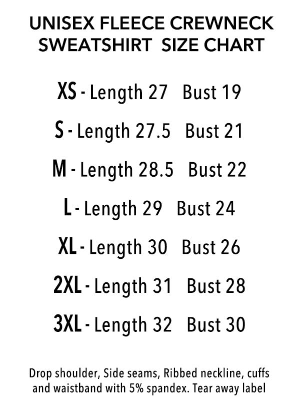 Texas Death Star State Sweatshirt - Point 506