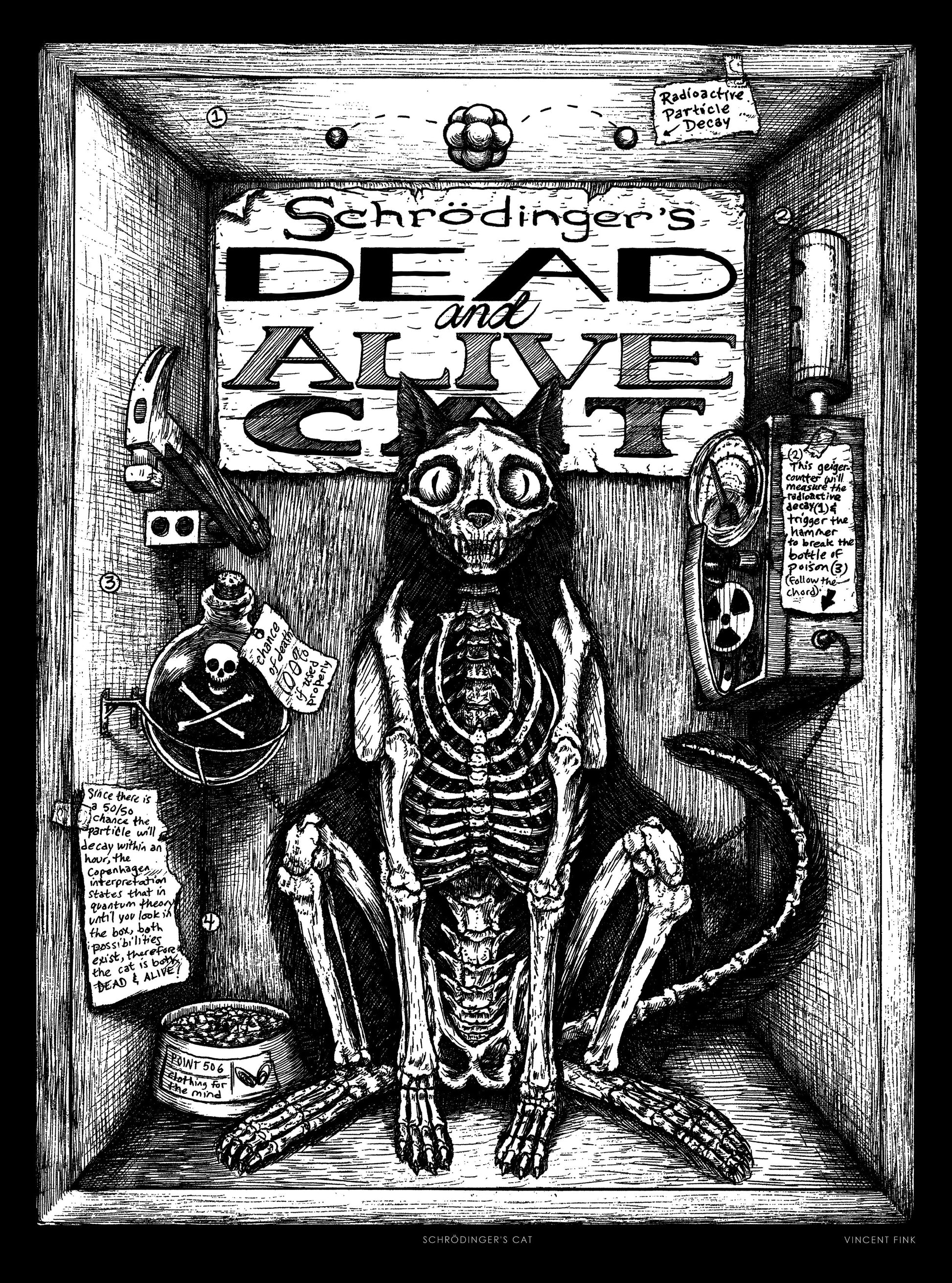 Schrodinger's Cat Poster - Point 506