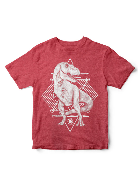 dinosaur kid tshirt, trex kid shirt, dino shirt