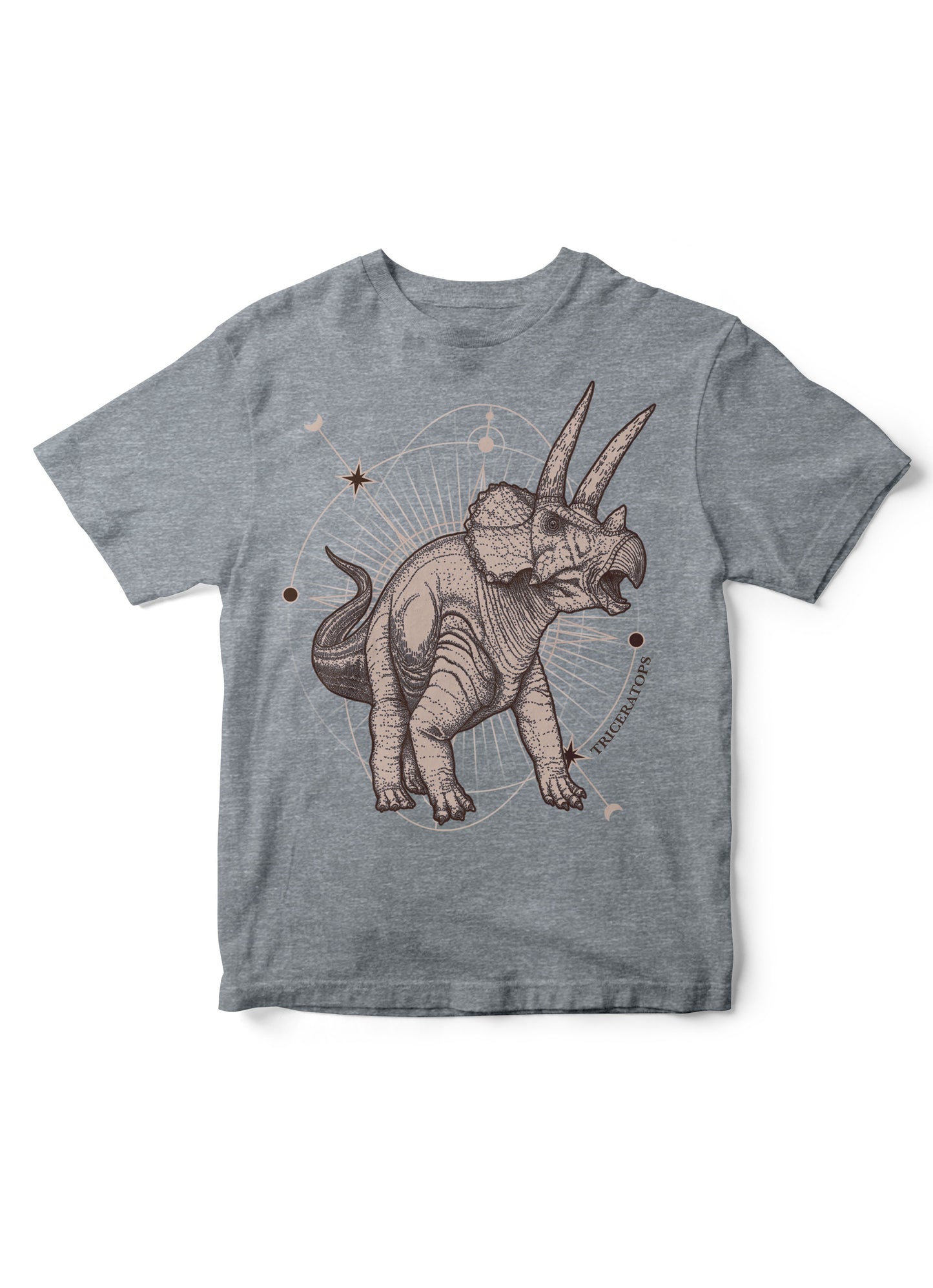 dinosaur shirt, dino t-shirt, kid tshirt, dinosaur kid tee