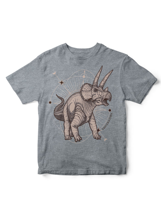 dinosaur shirt, dino t-shirt, kid tshirt, dinosaur kid tee