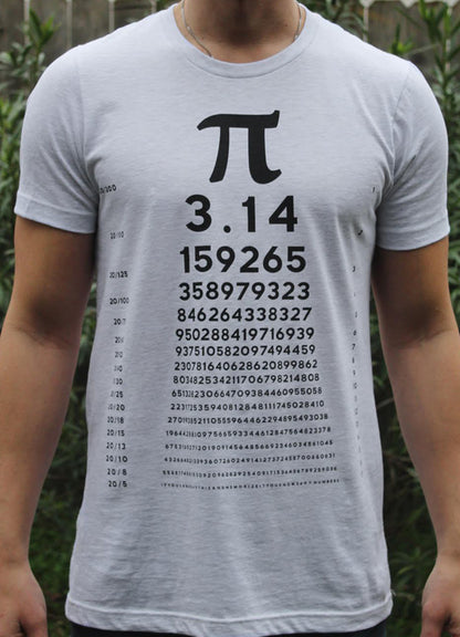 PI Chart - Point 506