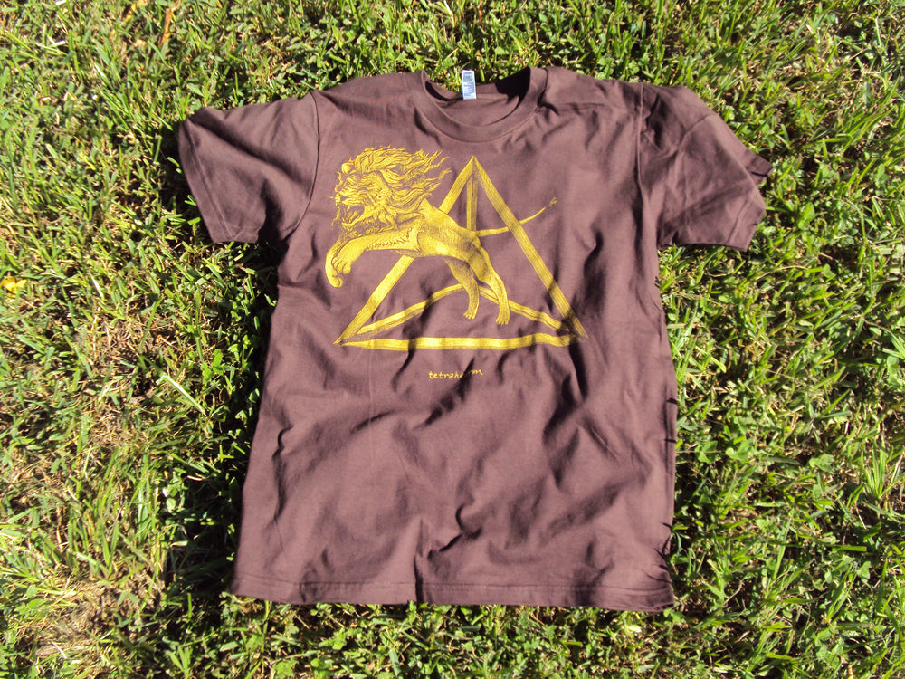Tetrahedron Lion - Point 506